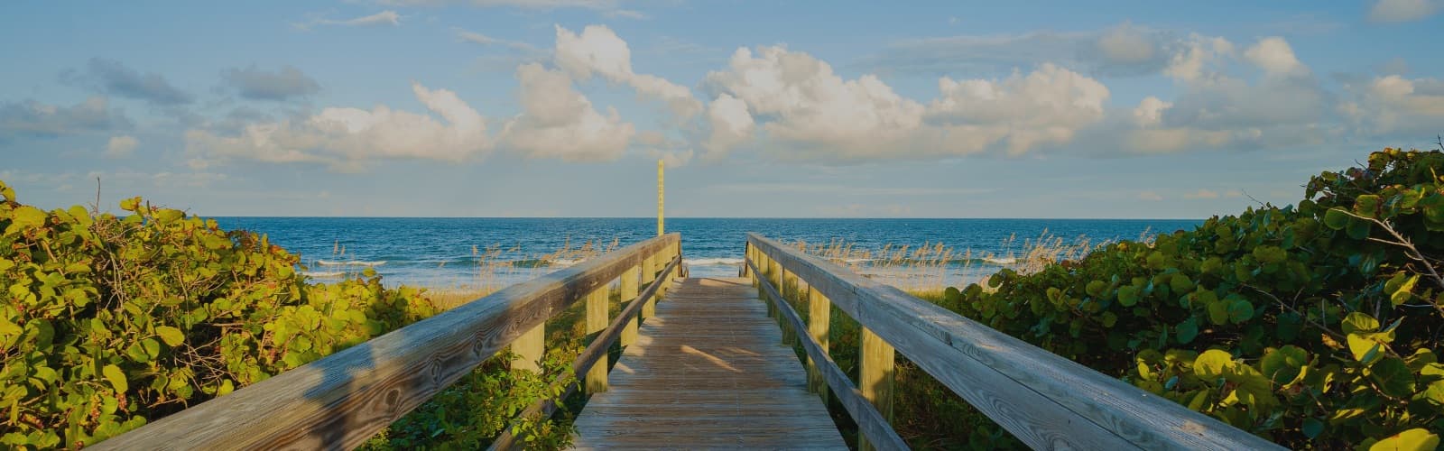 Royal Palm Coast Realtor Association hero background